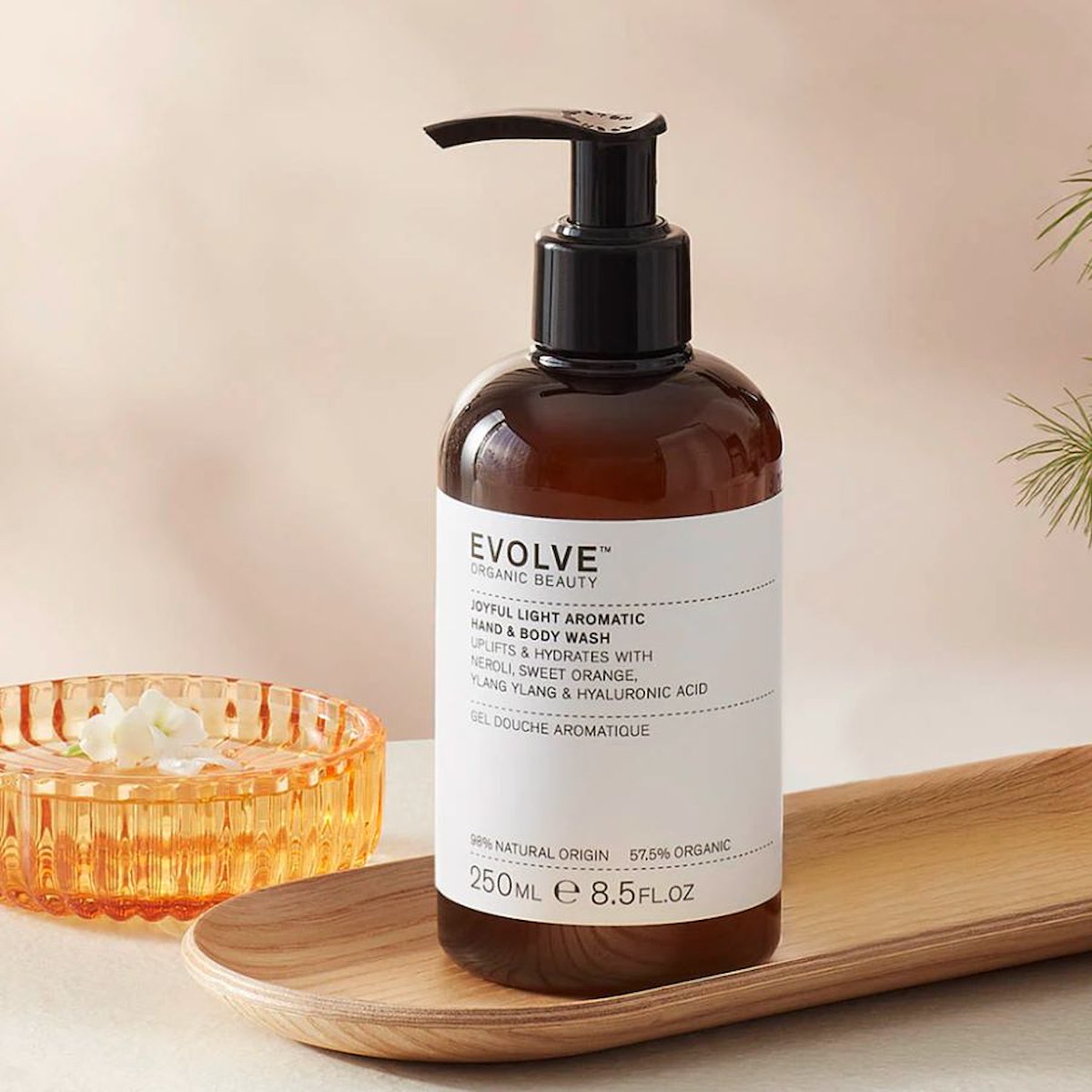 Evolve Joyful Aromatic Hand & Body Wash, 250 ml